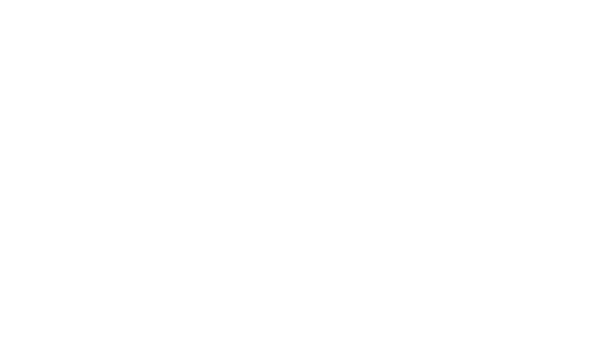 scooter weis